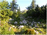 Hunting cottage Na Brežičih - The lake Vodotočno jezero (Veža)